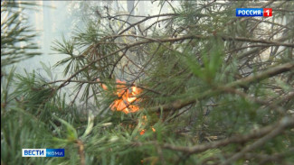 В Корткеросском районе ликвидируют лесной пожар