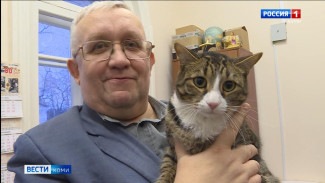  Музейный кот Пас и его команда получили награды на премии "Маршрут года 2025"