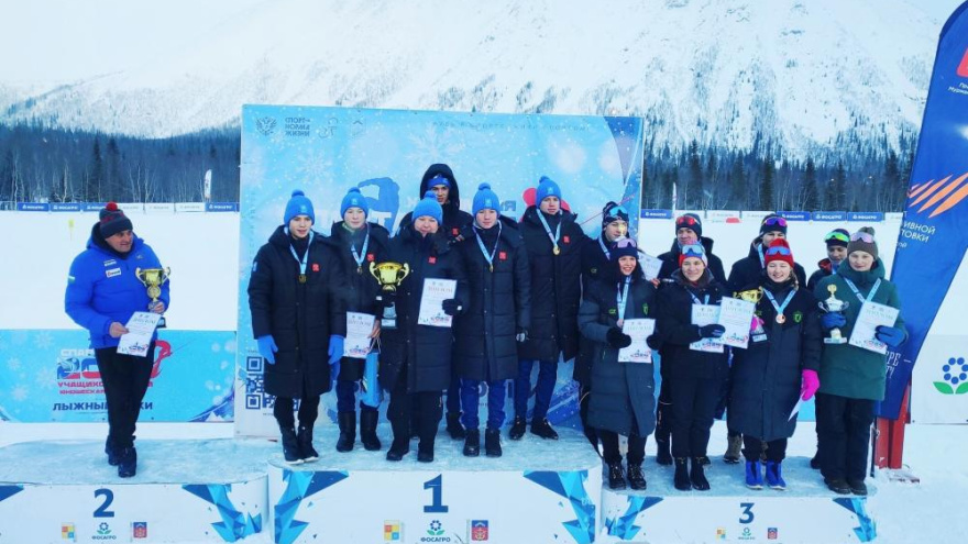 спортсмен зимой. лыжные гонки динамо. флгр вологодской области. дмитрий шапаров вологда лыжник. лыжня вологда.