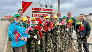 В Коми дали старт международной акции "Сад памяти"