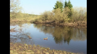 В Удорском районе вынесен приговор по уголовному делу о гибели на охоте