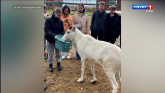 Молодежь Коми приглашают в путешествие в живописное село Лэзым