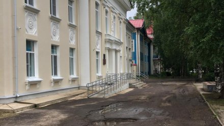 Ростислав Гольдштейн поручил отремонтировать подъездную дорогу к Детской музыкальной школе имени С.И. Налимова