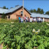 Ученые института агробиотехнологий Коми научного центра провели приемку опытов по картофелю
