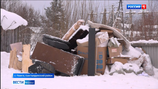 Жители Пажги жалуются на нехватку контейнеров для мусора