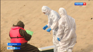 В Сыктывкаре на территории городского пляжа прошли учения Минсельхоза