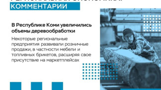 Региональная экономика: в Коми увеличились объемы деревообработки 