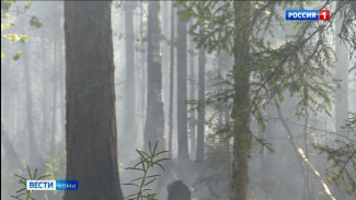 В Усть-Куломском районе сохраняется высокая пожароопасность