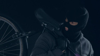 С начала июля в Республике Коми полицейские зарегистрировали более 10 краж велосипедов