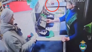 В Сосногорске полицейские задержали подозреваемую в краже кошелька в прикассовой зоне продуктового магазина