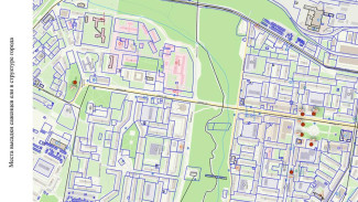 В Воркуте высадят 100 сибирских елей