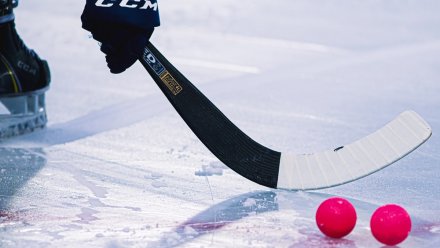 Чемпионата мира по хоккею с мячом в Сыктывкаре обойдётся бюджету Коми в 54 миллиона 