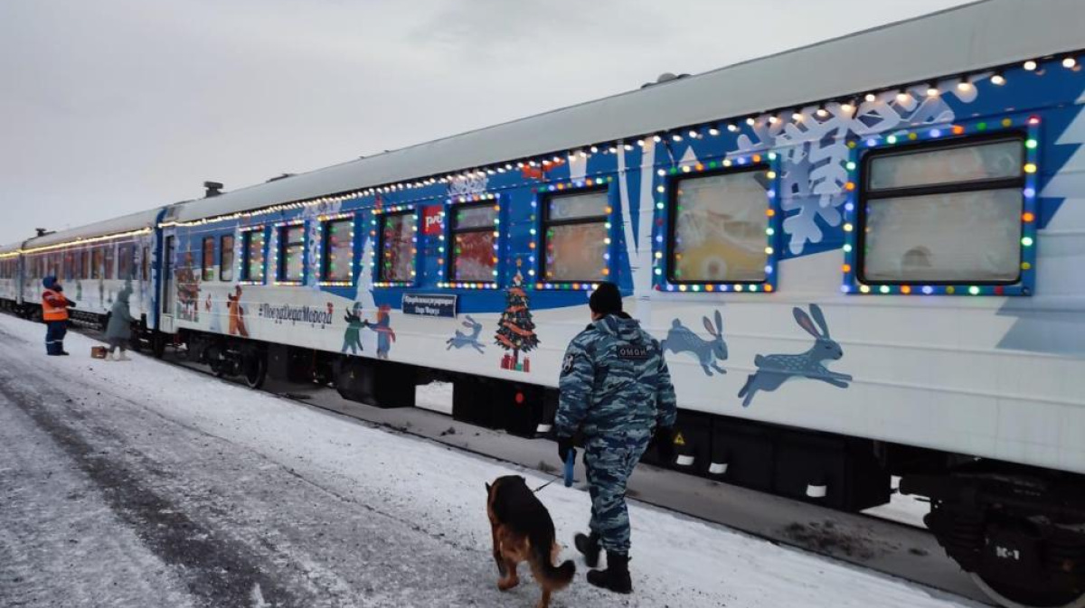 Сотрудники ОМОН «Арктика» обследовали прибывший в Воркуту новогодний поезд  – ГТРК «Коми Гор»