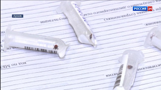 Сводка по клещам в Республике Коми