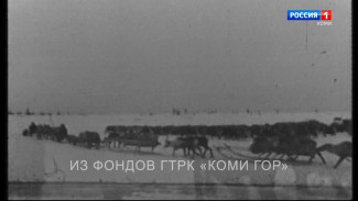 Страница о Великой Отечественной. "О лыжном батальоне 14-ой армии Карельского фронта" (Оленный батальон), 1983 г.