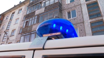 В Сыктывдинском районе житель Кемеровской области осужден за незаконный оборот наркотиков