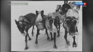 В Коми стартовал конкурс по созданию дизайн-проекта диорамы, посвященной подвигу оленно-транспортных батальонов в годы ВОВ