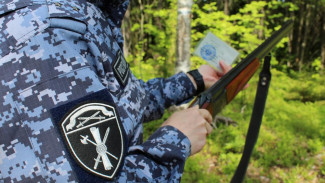 В Коми за неделю росгвардейцами изъята 21 единица охотничьего оружия