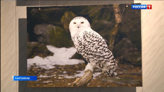 Фотовыставка «Арктика — наука и искусство. Герои Севера» в столичной галерее «Пейзажи Севера»