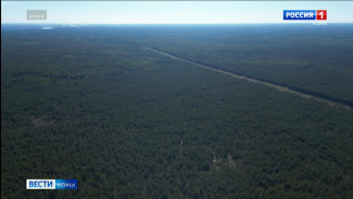 МЧС предупреждает о высокой пожароопасности на юге республики