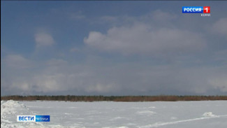 Посевы озимой ржи и многолетних трав в республике в удовлетворительном состоянии