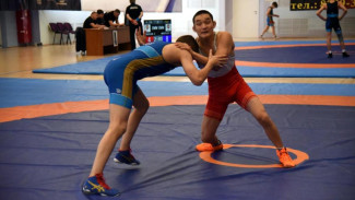 В столице Коми стартовали Всероссийские соревнования по вольной борьбе памяти А.Н. Пошивалова