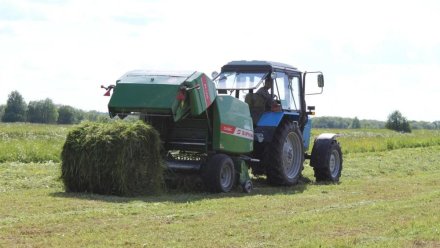 Несмотря на погодные условия аграрии Коми обеспечат необходимый запас кормов