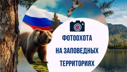 Жителей Коми приглашают принять участие в  Межрегиональном конкурсе фотографий «Фотоохота на заповедных территориях»