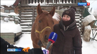 Команда ГТРК "Коми Гор" познакомилась с символом 2026 года 