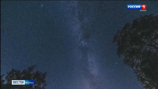 Минувшей ночью любители астрономы могли видеть на небе пик метеорного потока Персеиды