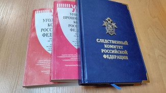 В Инте возбуждено уголовное дело по факту применения сотрудниками полиции насилия в отношении мужчины