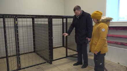 Новый приют для бездомных собак в Усть-Куломе заработает в конце февраля