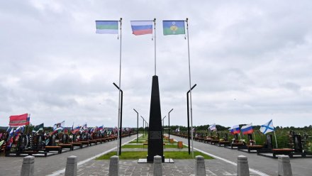 Ростислав Гольдштейн поручил создать в Коми мемориальное кладбище для защитников Родины