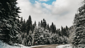 Введены временные ограничения на дорогах