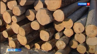 За 11 месяцев на экспорт из Коми отправлено почти 1,5 миллиона кубометров лесопродукции