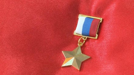 Ивану Поздееву из Усть-Цильмы присвоили звание Героя России посмертно