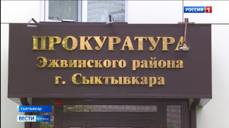 В Эжвинском районе Сыктывкара бездомная собака покусала 8-летнего мальчика