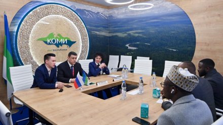ПМЭФ-2025: Республика Коми и страны Африки договорились о взаимовыгодном партнёрстве