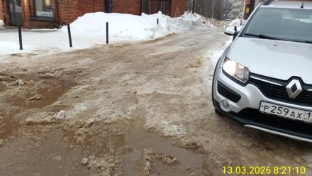 Минприроды Коми: О ситуации с вывозом мусора в период таяния  снега