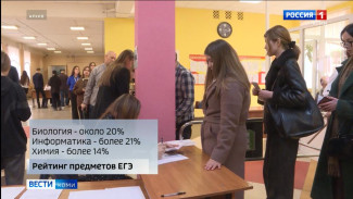 Рособрнадзор назвал самые популярные предметы ЕГЭ-2025