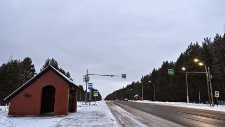 Поручение выполнено: уличное освещение в районе детского реабилитационного центра в Краснозатонском восстановлено