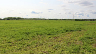 В Коми прорабатывается вопрос об объединении регионального филиала российского сельхозцентра с кировским филиалом