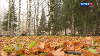 О погоде на выходные: местами ожидаются небольшие, но умеренные осадки в виде дождя и мокрого снега