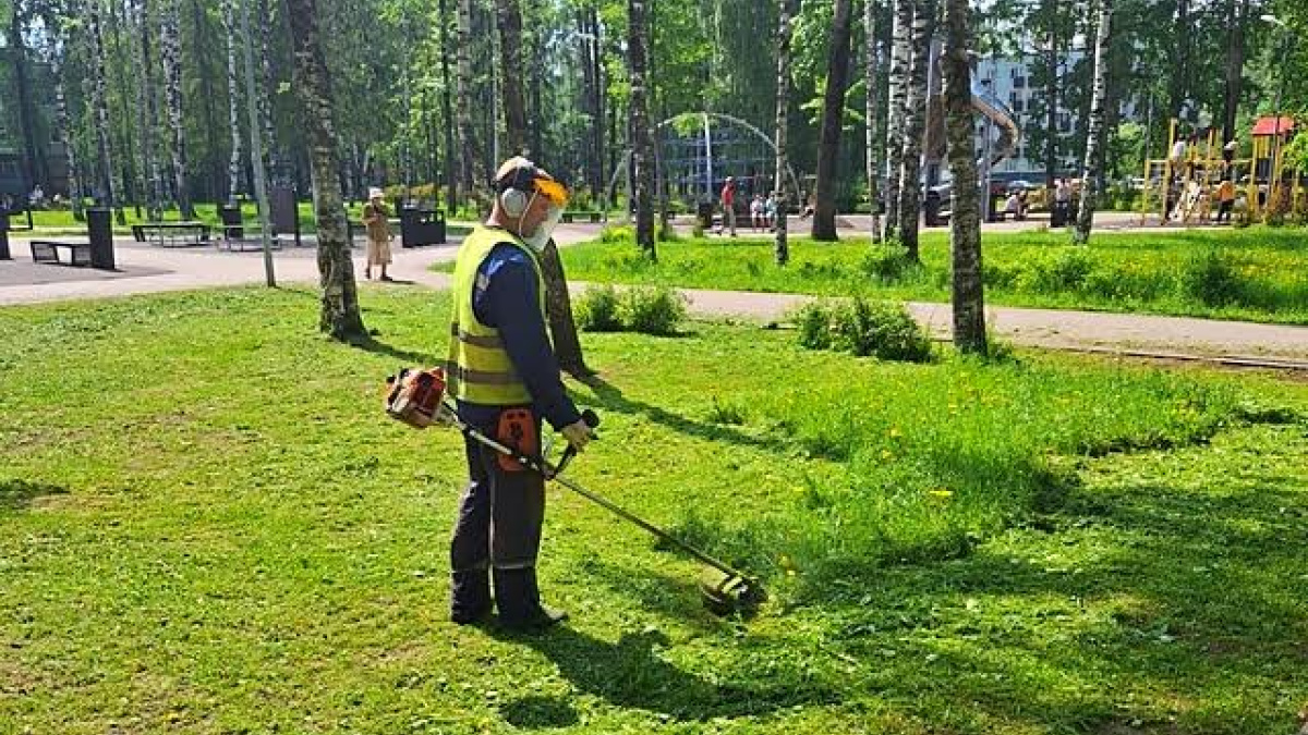 Коммунальные службы Сыктывкара ведут покос травы – ГТРК «Коми Гор»