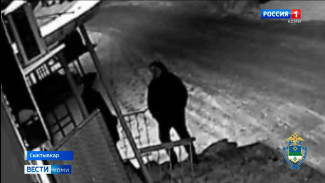 Происшествия в Республике Коми 29.10.2025