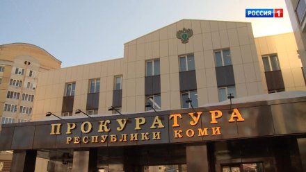 В Сыктывкаре в суд направлено уголовное дело о травмировании пятилетней девочки в детском саду