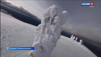 В Печоро-Илычском заповеднике открыли набор сезонных сотрудников на зимний туристический сезон 2026