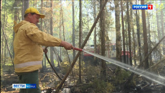 Накануне в Коми потушили два лесных пожара