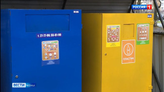 В Эжвинском районе столицы начнут наводить порядок на контейнерных площадках