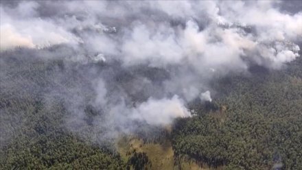 Запах гари в Сыктывкаре вызван лесными пожарами на территории других муниципалитетов